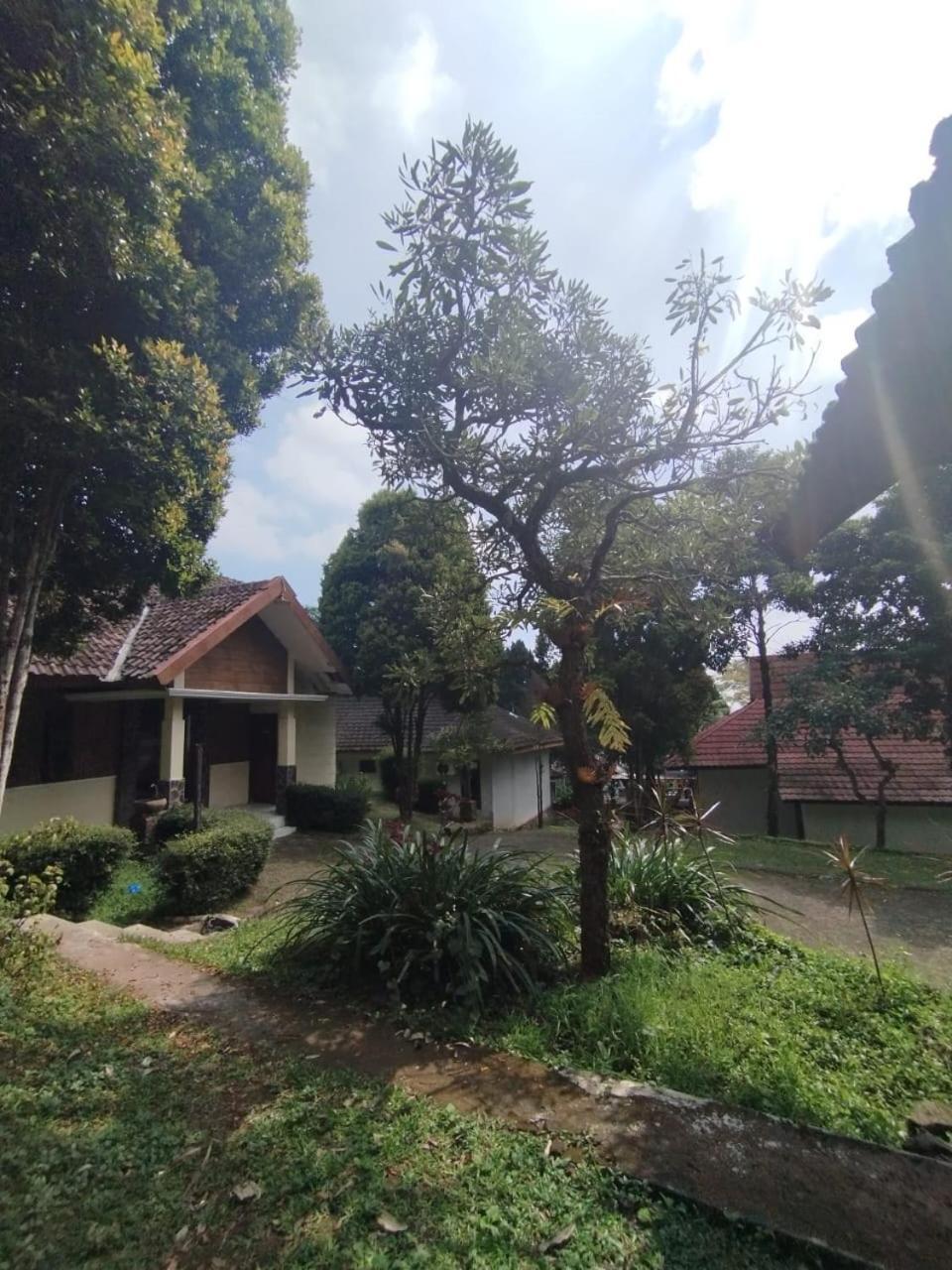 Forest Resort & Onsen Claket ภายนอก รูปภาพ